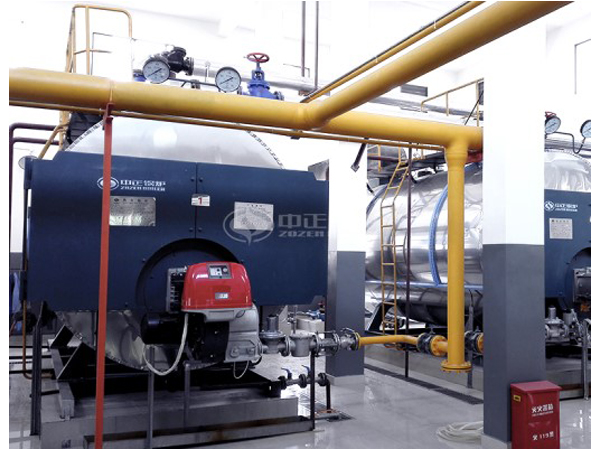 立式生物質(zhì)導熱油鍋爐廠家